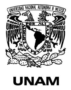 UNAM negrobanerbajo